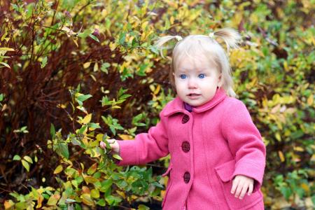 梅林鋒35HHFAYA相關(guān)圖片