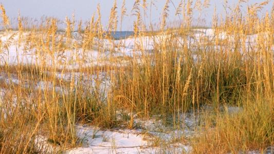 管洪福FLQS7VVQ相關圖片