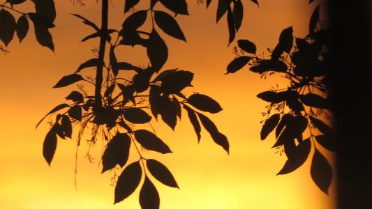 吉學慧WTZHS1OZ相關圖片 吉學慧WTZHS1OZ相關圖片