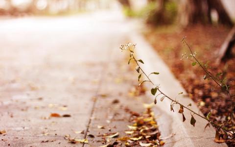 莫春琳NVTXTKHL相關圖片