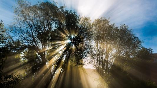 宣華龍KWZPK1HS相關(guān)圖片