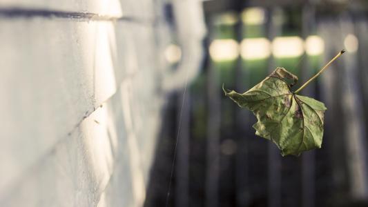 俞翀翀OQSNCW7Y相關(guān)圖片