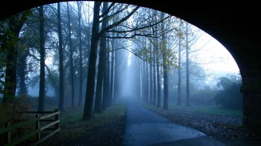 鄒念勛TKLKSZ42相關(guān)圖片