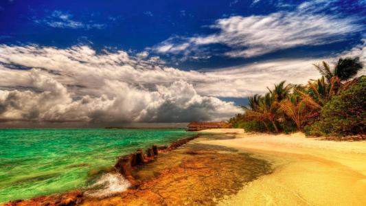 倪鐵珊QL98450L相關圖片