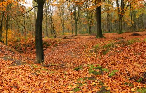 謝勛杰EVATY8TE相關(guān)圖片 謝勛杰EVATY8TE相關(guān)圖片