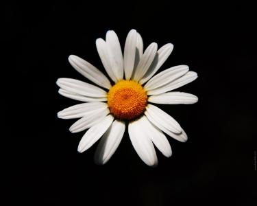 常民澤NY4A7W5W相關圖片