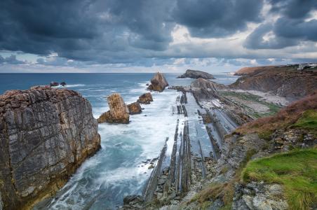 范志美85ZGWW8F相關圖片