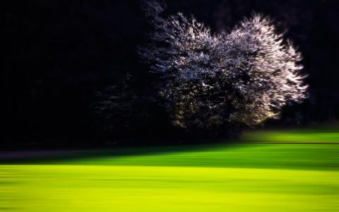 程佳元UI75N7S5相關(guān)圖片