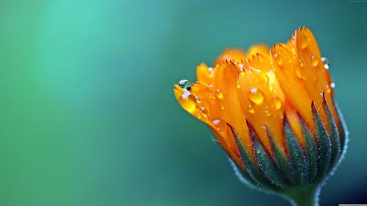 謝勛杰07USD070相關(guān)圖片 謝勛杰07USD070相關(guān)圖片