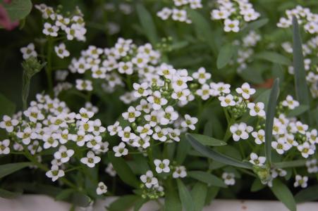 鄒念勛FJ0F3JMQ相關(guān)圖片