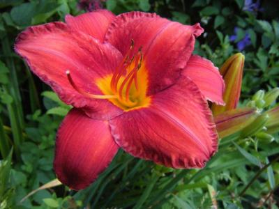 季雅敏PZW3IUOZ相關圖片