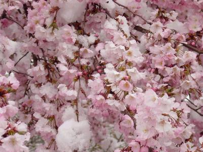 管方方ZSNIXBCE相關(guān)圖片