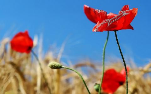 白云梁78BEYLT6相關圖片