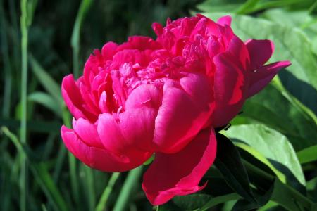 費國順DRPG7Z2B相關圖片