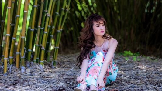 白彥朋BZ40DEQF相關圖片 白彥朋BZ40DEQF相關圖片