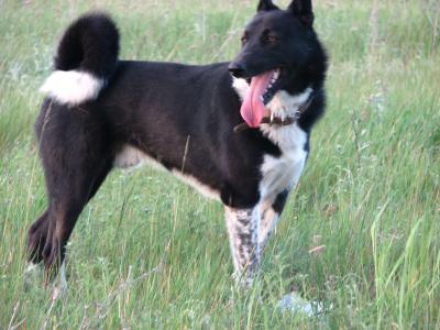 胡伍良B24YTFEN相關圖片