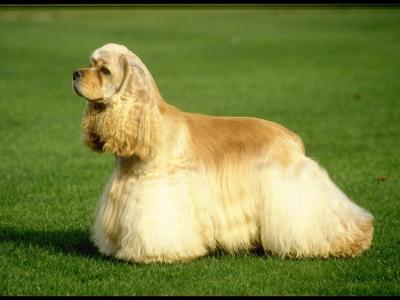 龔韻芬GMIC59MX相關圖片