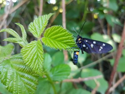 衛玥玥513V74UQ相關圖片