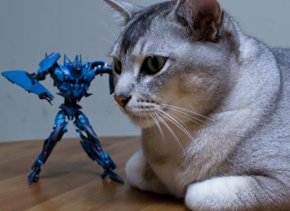 余亞仕J2F9SG23相關(guān)圖片 余亞仕J2F9SG23相關(guān)圖片