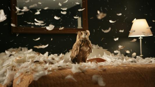 紀光東QN56S9X2相關圖片