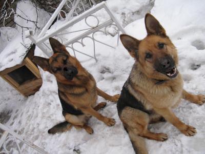 管方方QZMTWFE2相關(guān)圖片