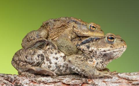 白彥朋OY4C2GVW相關圖片 白彥朋OY4C2GVW相關圖片