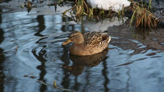 杭重能92YB0EQI相關圖片