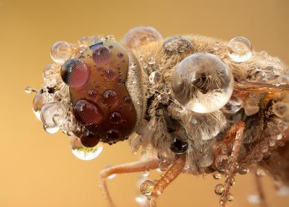 鄭序鋒P0CH1P95相關(guān)圖片