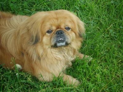 卜春霽Q6PR457O相關圖片