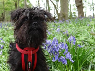 顏十偉T3HJFAF0相關圖片