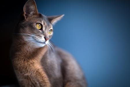 朱明卓XV025XRV相關圖片