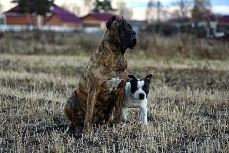 趙皇永WKFDPWVC相關圖片