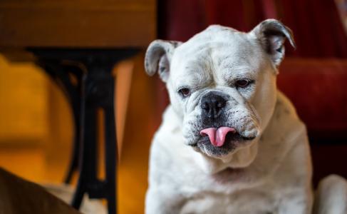 蔡炎儒MV2WJM5O相關圖片