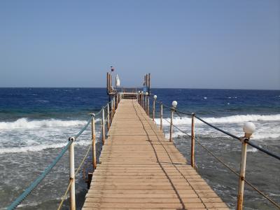 麻東東2V7WLQR0相關圖片