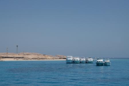 和麗霞ISOBRRMZ相關圖片