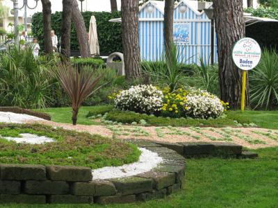 金慧蓉L374IT6N相關圖片