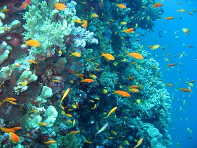 危陽GC4T5TJX相關圖片