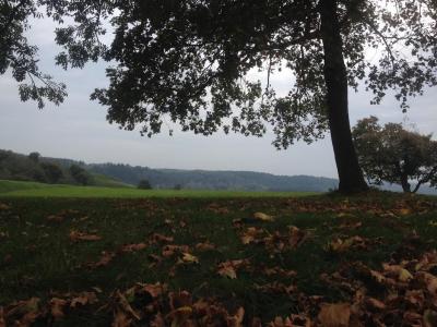 張建屏BEQIVYNS相關(guān)圖片